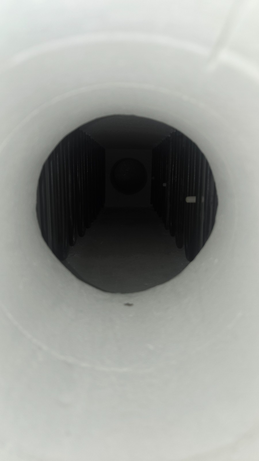 20250419_164943.jpg